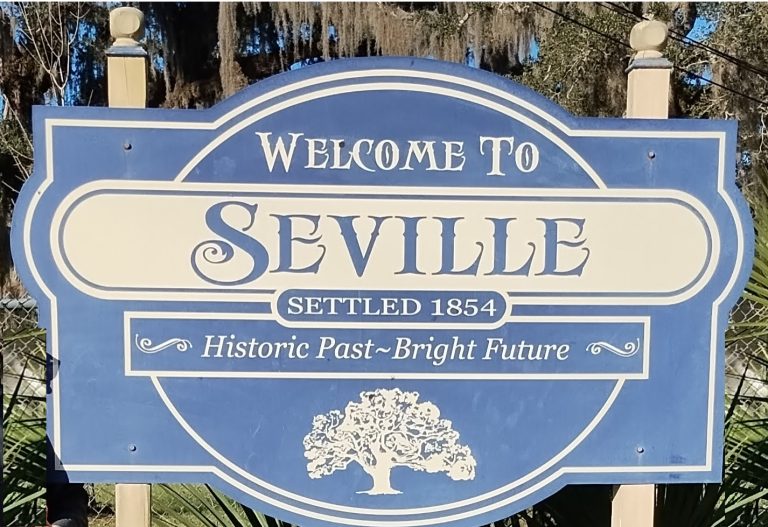 Read more about the article Top 7 Reasons Why Seville, Florida is the Next Real Estate Investment  to Take Advantage